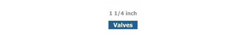 1 1/4 inch Valves